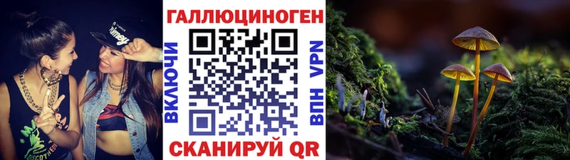 Псилоцибиновые грибы прущие грибы  купить закладку  МЕГА как войти  Дзержинский 