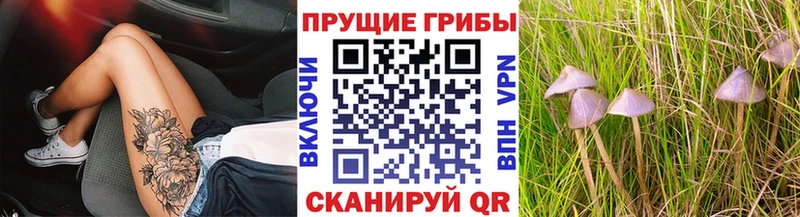 Галлюциногенные грибы прущие грибы Дзержинский