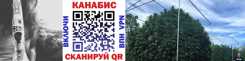 Бошки марихуана THC 21% Дзержинский